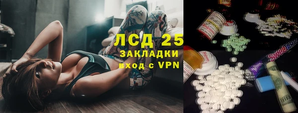 ALPHA-PVP Гусев