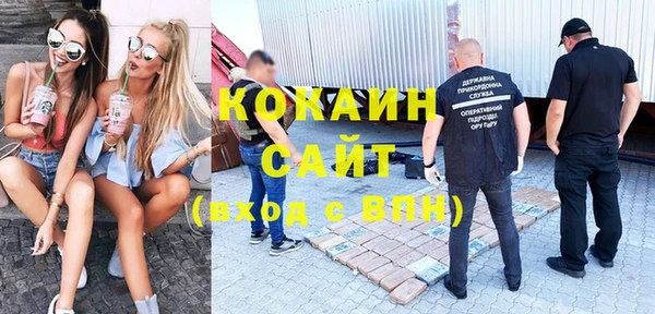 ALPHA-PVP Гусев