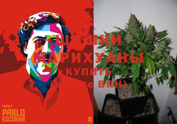 ALPHA-PVP Гусев