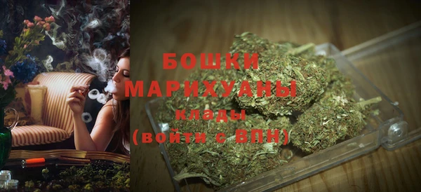 гидропоника Гусиноозёрск
