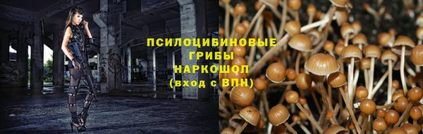 скорость Семикаракорск