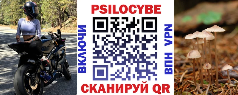 Псилоцибиновые грибы Cubensis  Купить  Нарьян-Мар 